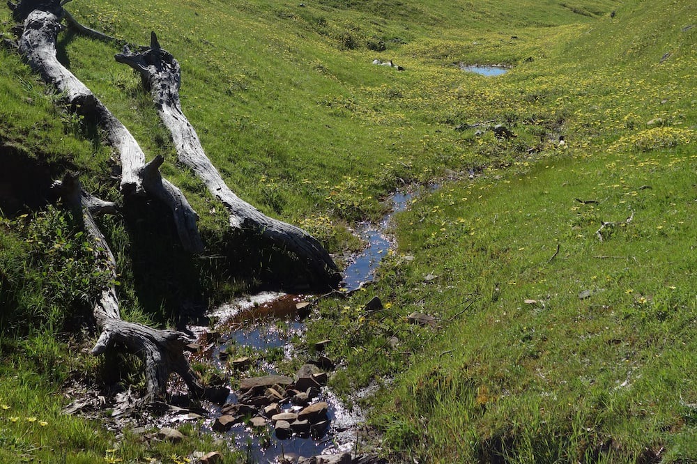 Photo of Outdoor in Cape Jervis
