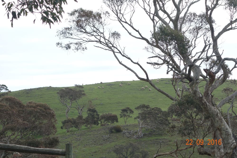 Photo of Outdoor in Cape Jervis