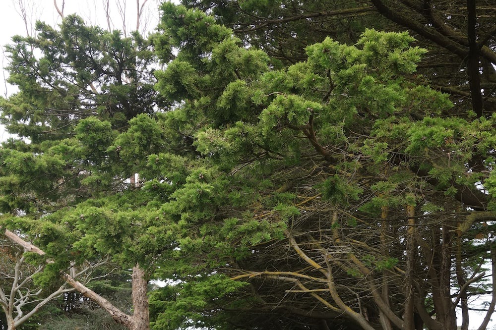 Photo of Outdoor in Cape Jervis