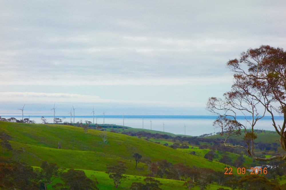 Photo of Others in Cape Jervis