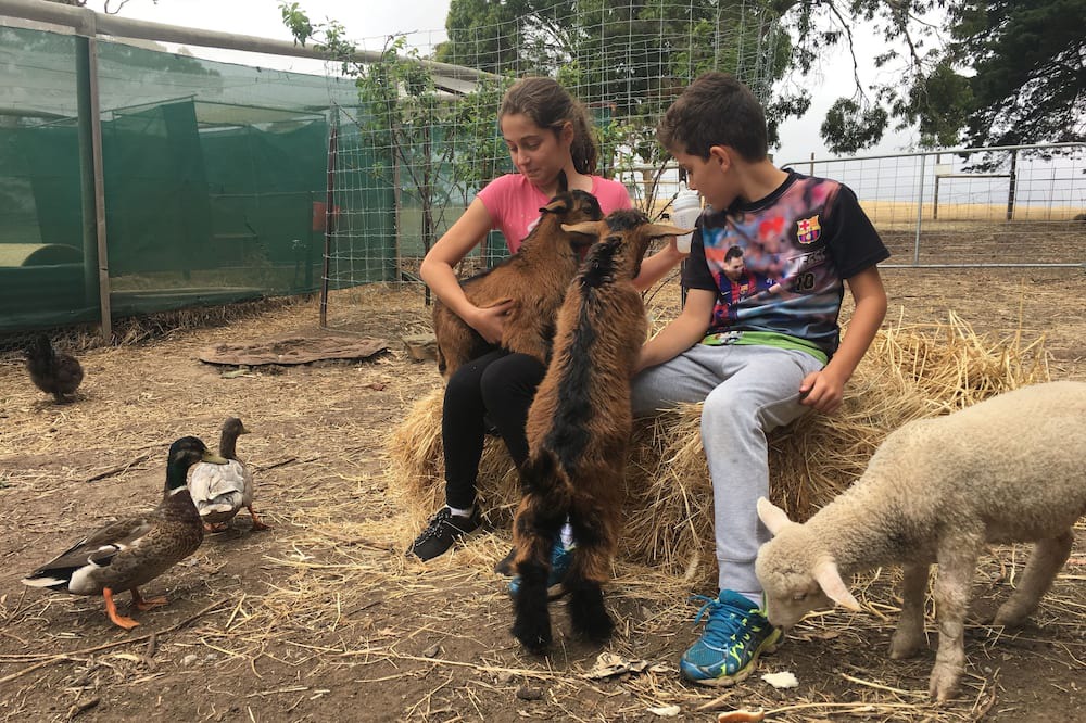 Photo of Outdoor in Cape Jervis