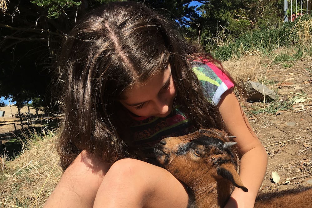 Photo of Outdoor in Cape Jervis