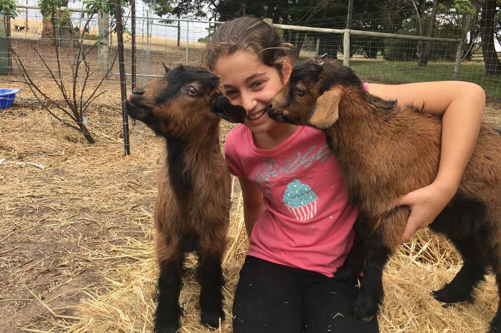 Photo of Outdoor in Cape Jervis