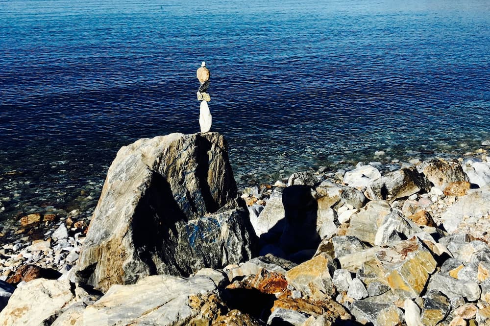 Photo of Others in Cape Jervis