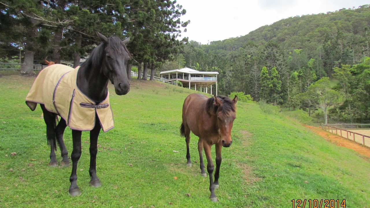 Photo of Outdoor in Tallebudgera Valley