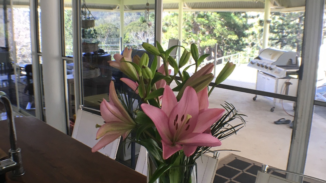 Photo of Others in Tallebudgera Valley