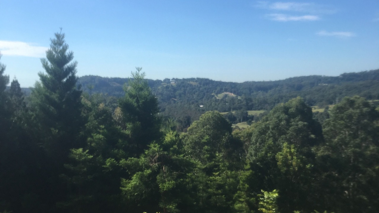 Photo of Outdoor in Tallebudgera Valley