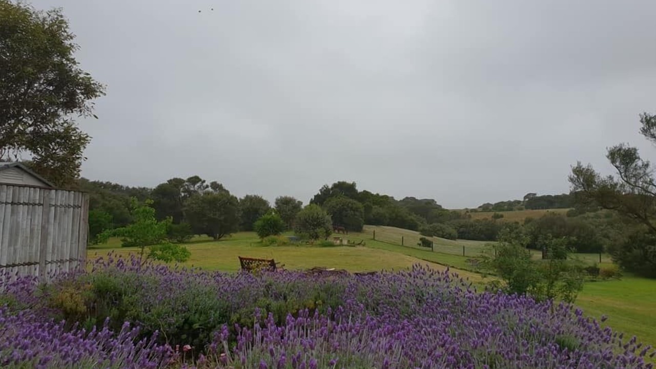 Photo of Others in Fingal