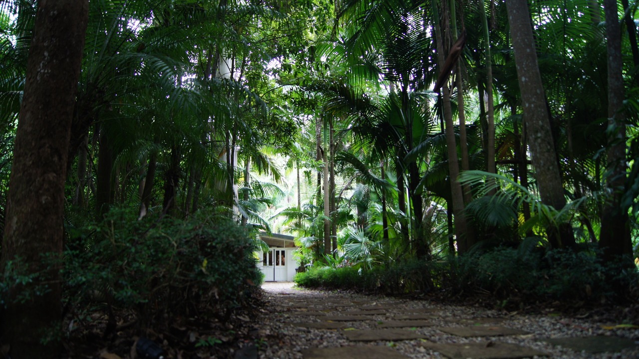 Photo of Outdoor in North Tamborine