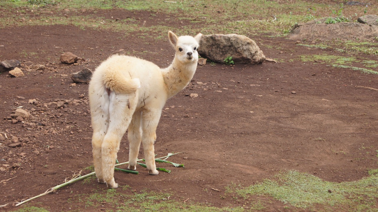 Photo of Outdoor in North Tamborine