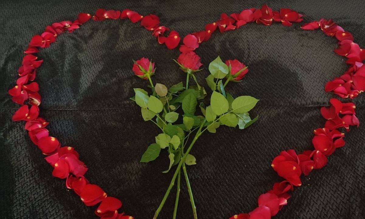 Photo of Others in North Tamborine