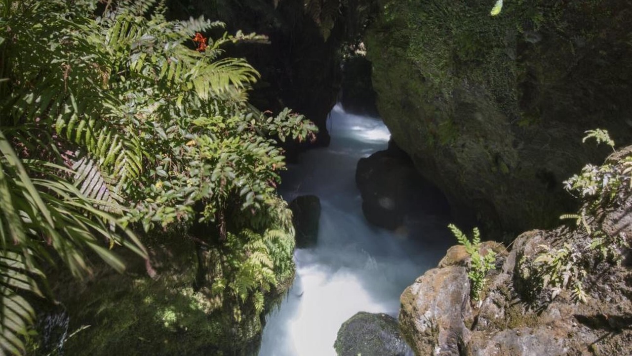 Photo of Outdoor in Okoroire