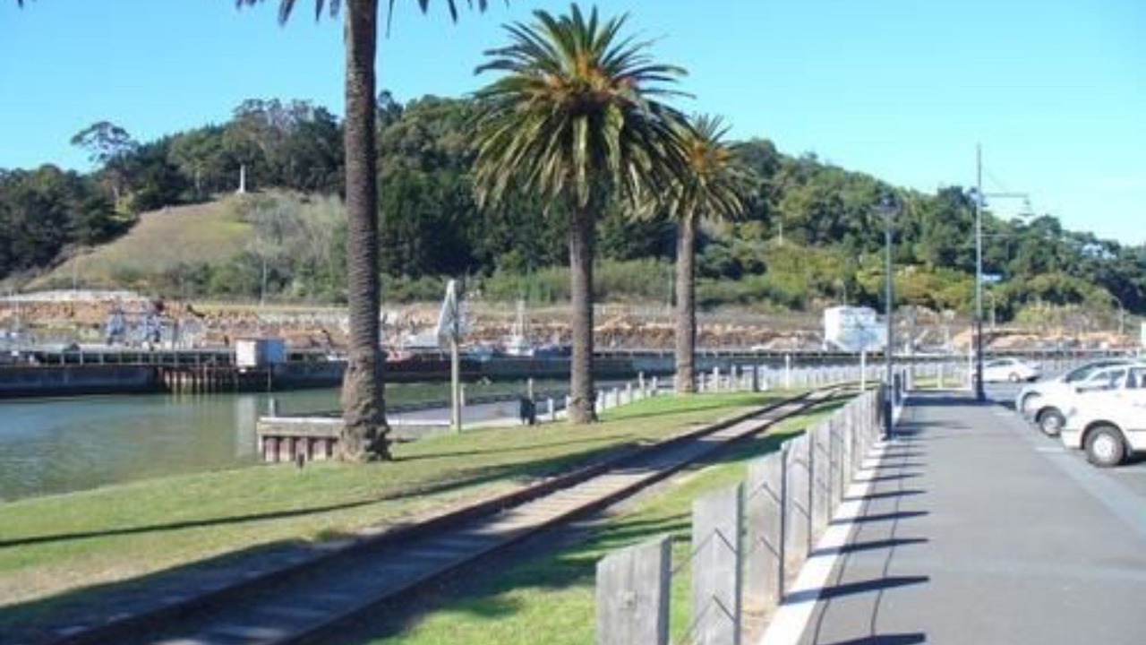 Photo of Others in Gisborne