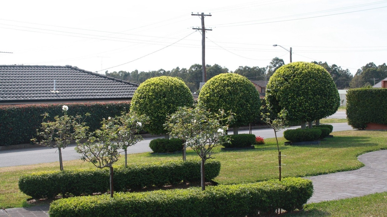 Photo of Outdoor in Aberdare