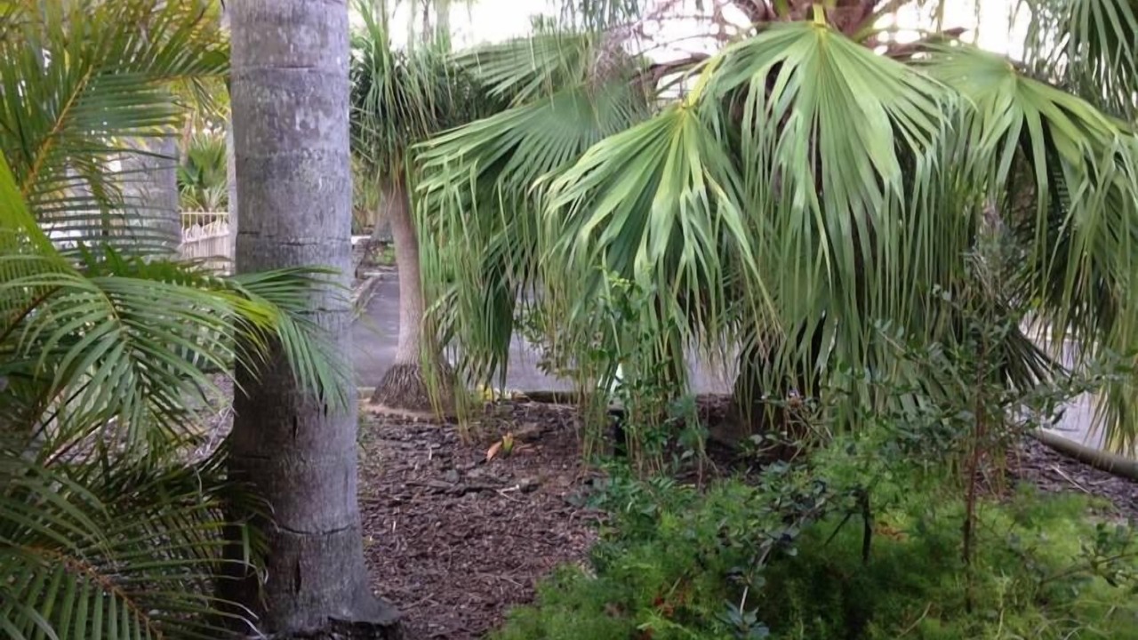 Photo of Others in Forster