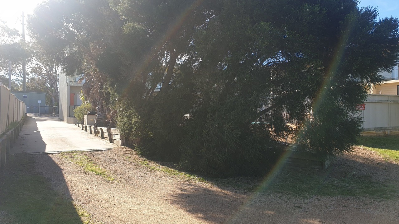 Photo of Others in Metung