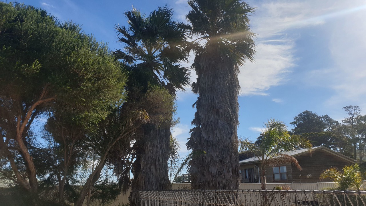 Photo of Outdoor in Metung