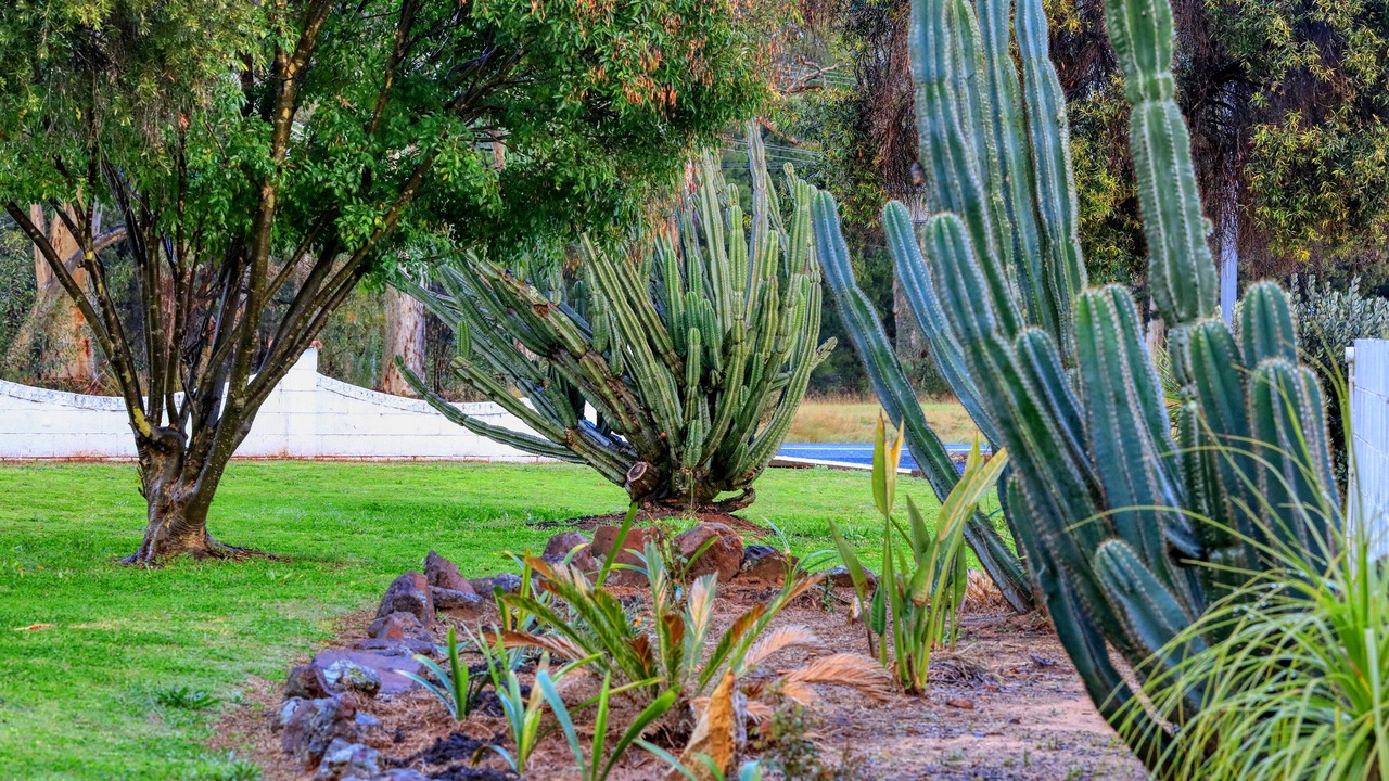 Photo of Outdoor in Coonabarabran