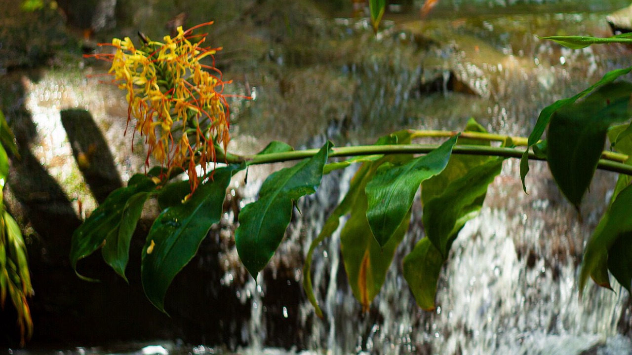 Photo of Outdoor in Limpinwood