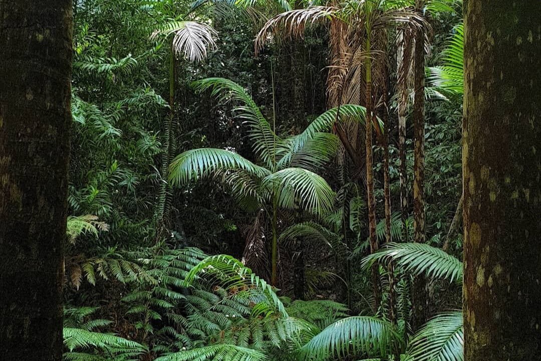 Photo of Others in Happy Valley