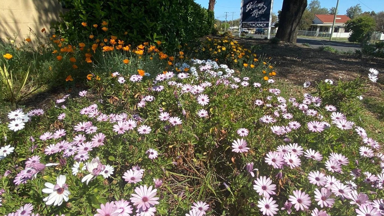 Photo of Outdoor in Gulgong