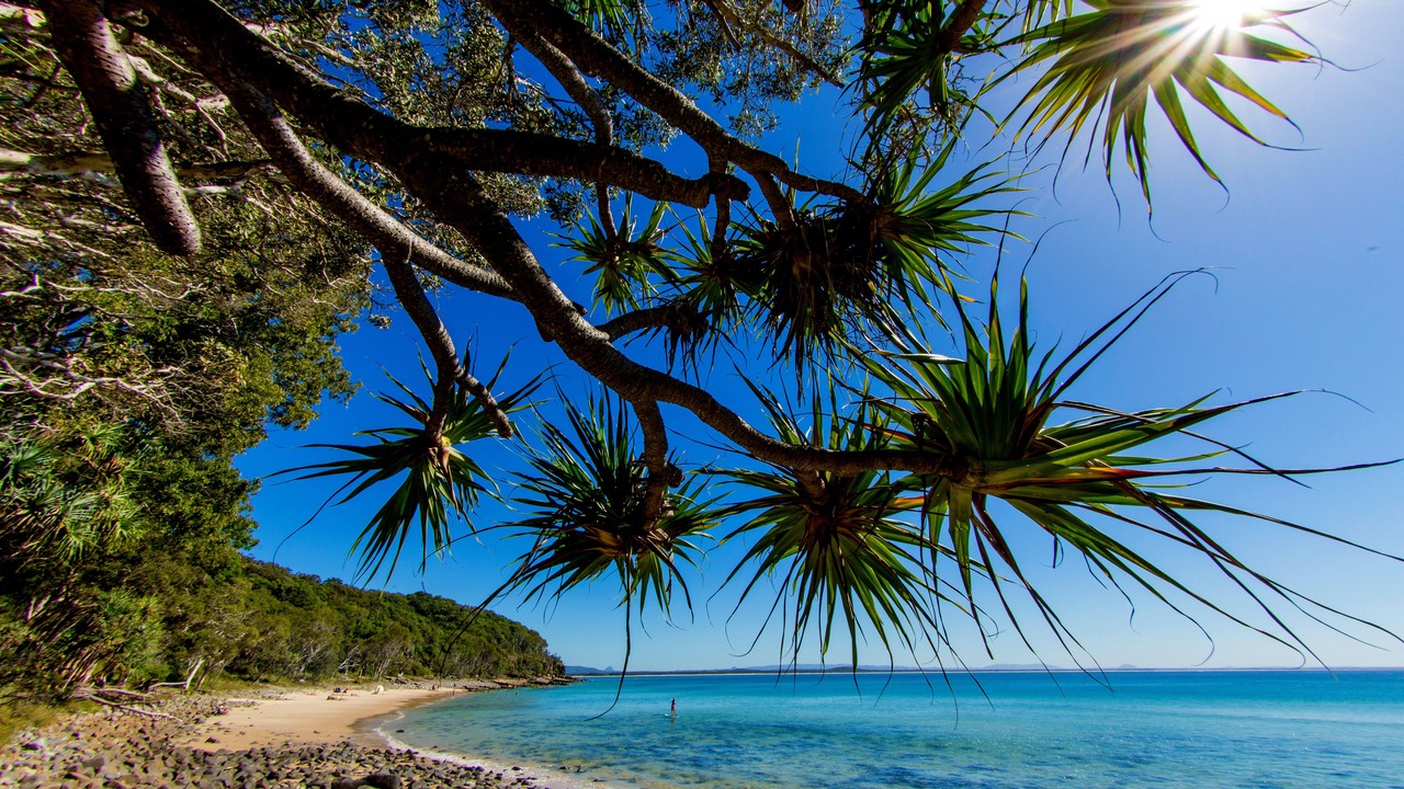 Photo of Others in Tewantin