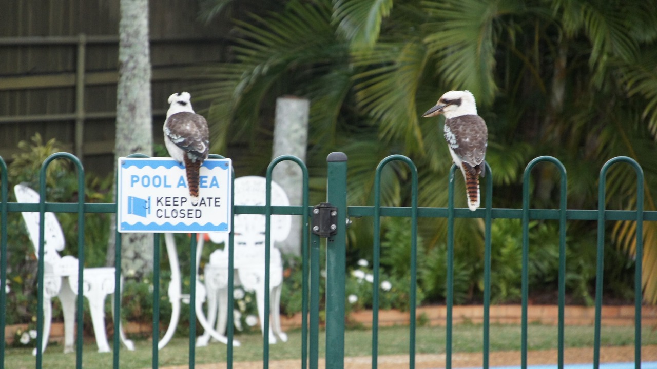 Photo of Outdoor in Ormiston