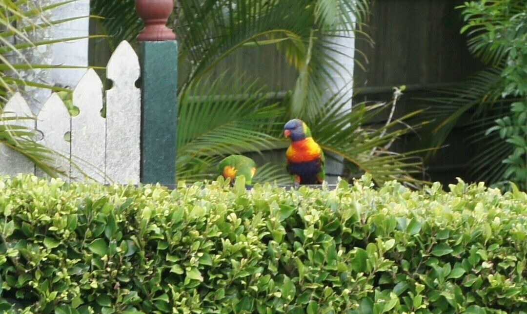 Photo of Outdoor in Ormiston