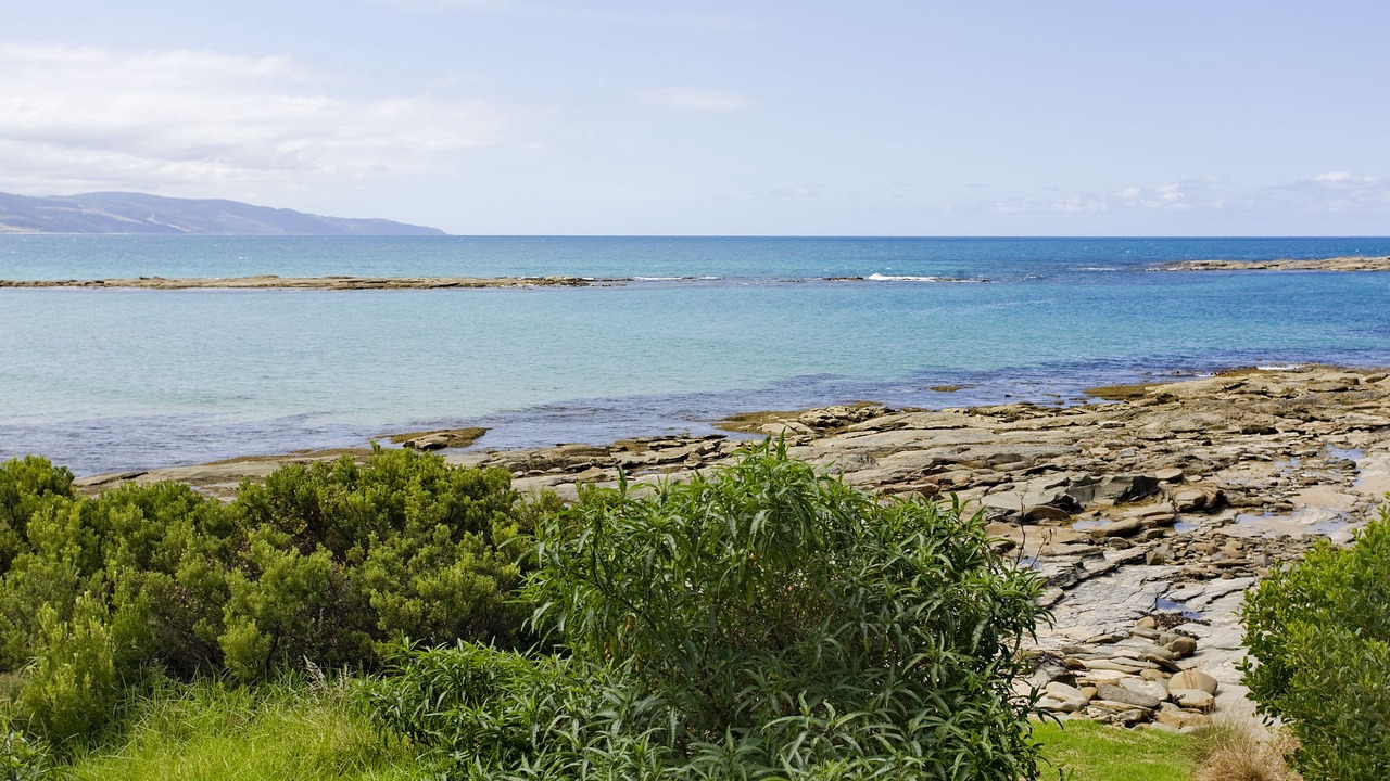 Photo of Others in Marengo