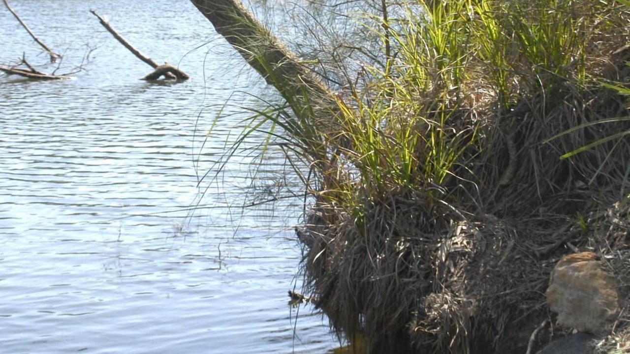 Photo of Outdoor in Wandandian