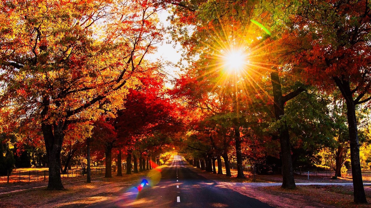 Photo of Others in Macedon