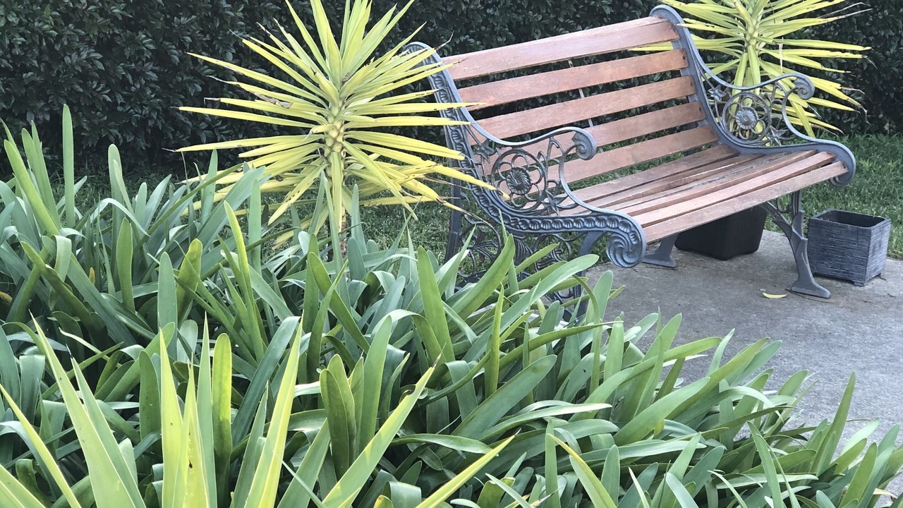 Photo of Outdoor in Cardiff