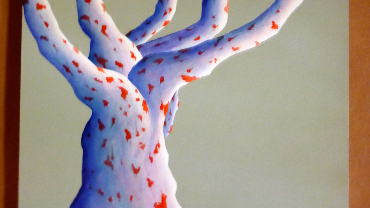 Photo of Others in Eurunderee