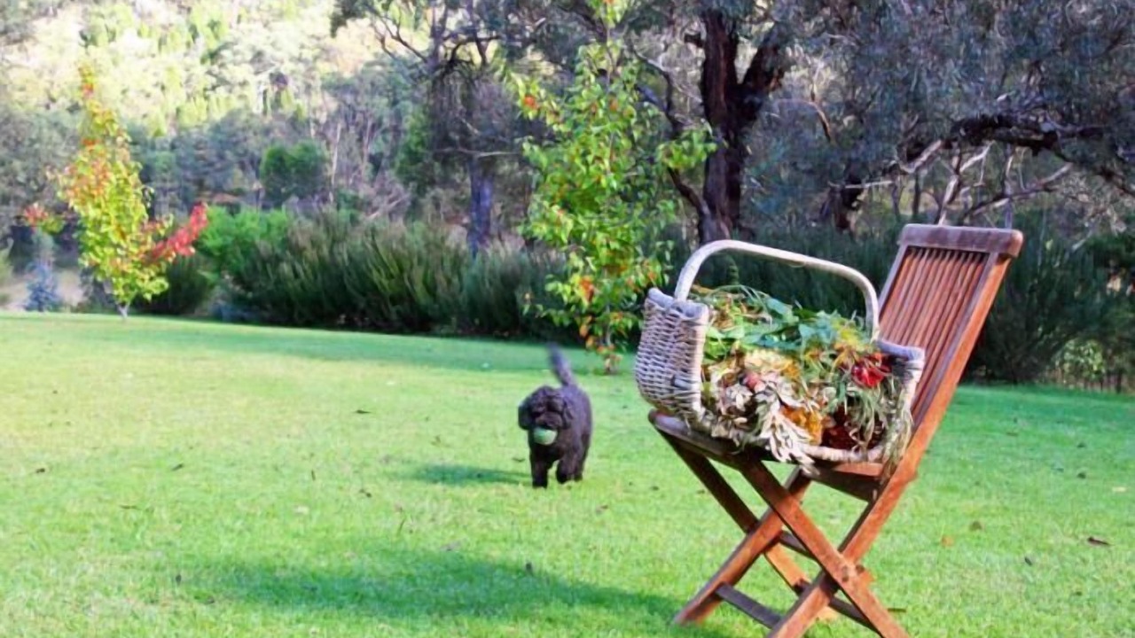 Photo of Outdoor in Eurunderee