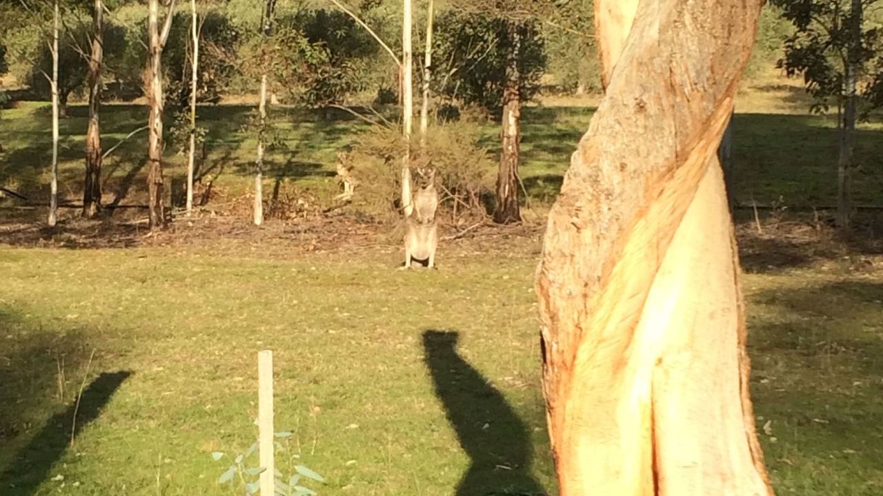 Photo of Outdoor in Eurunderee