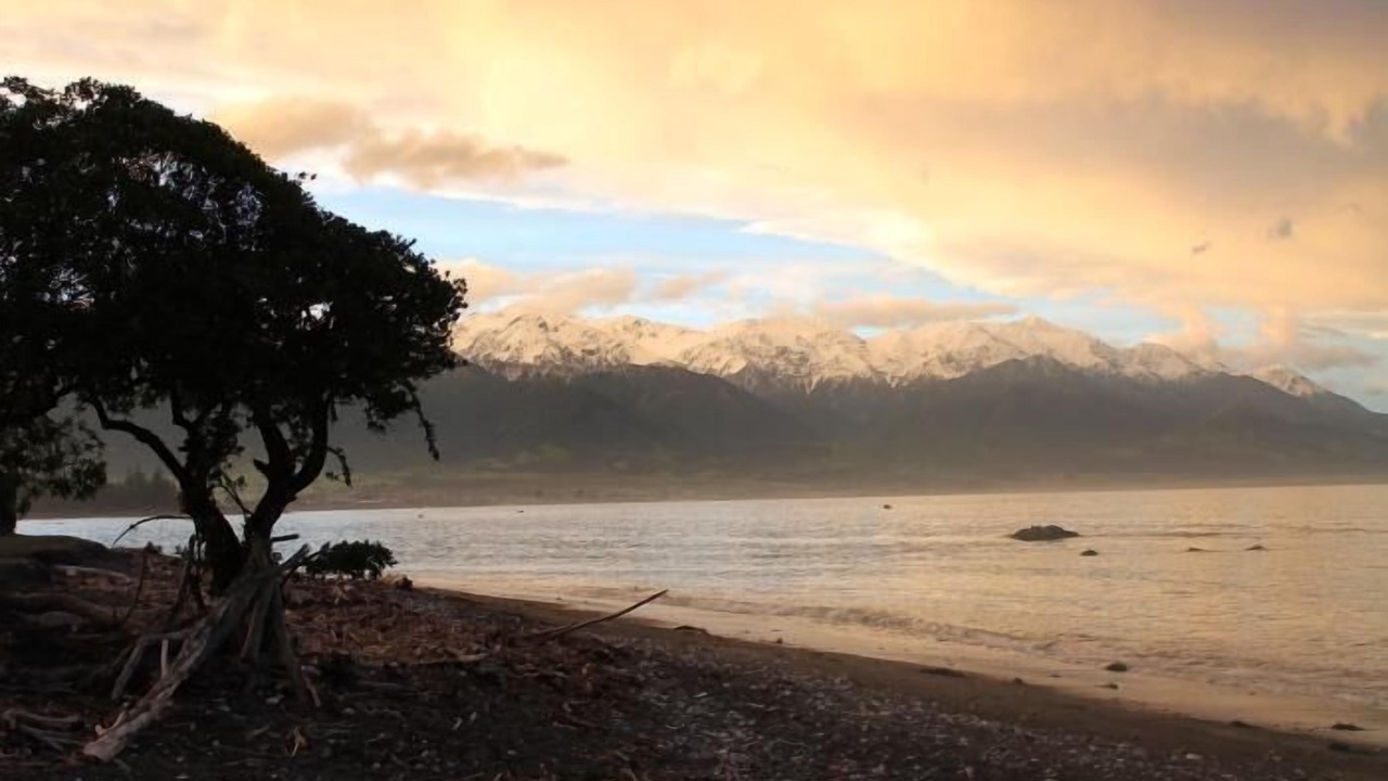 Photo of Others in Kaikoura