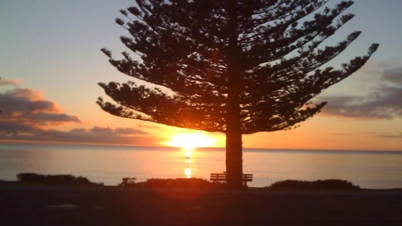 Photo of Others in Kaikoura