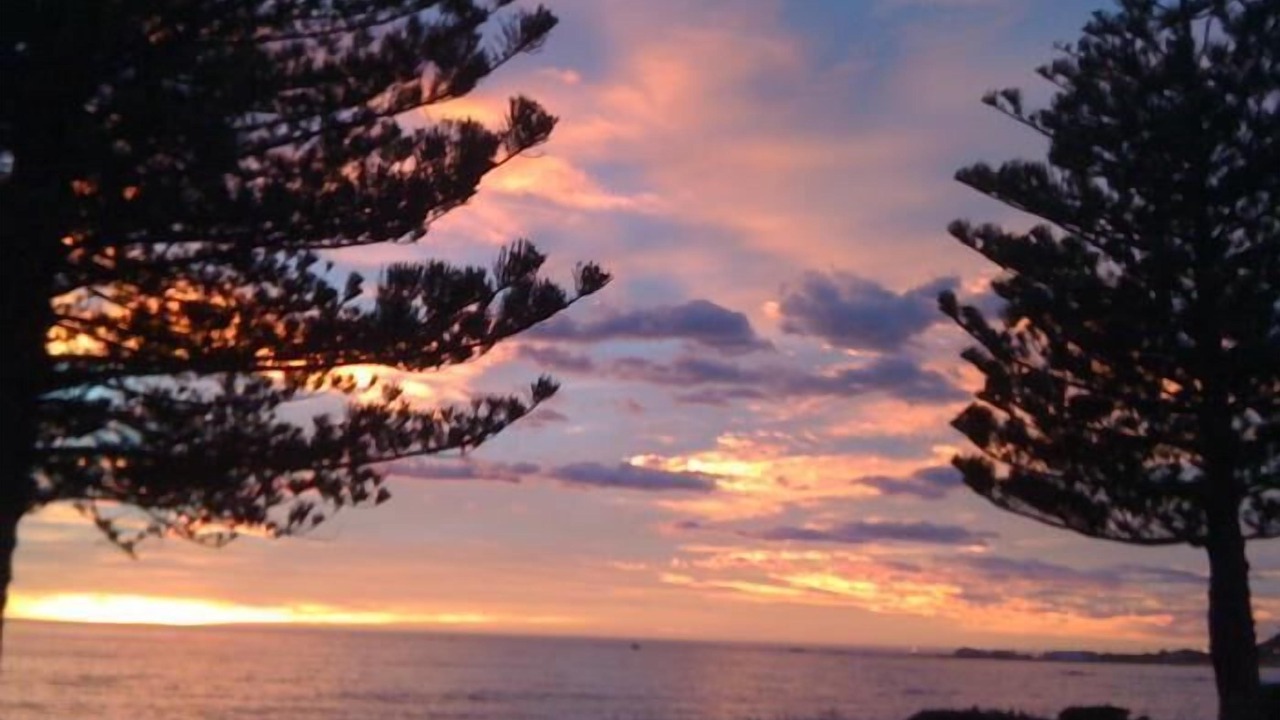 Photo of Others in Kaikoura
