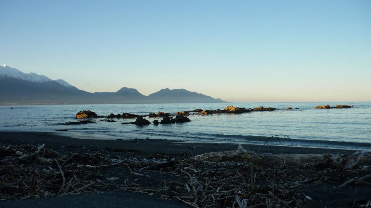 Photo of Outdoor in Kaikoura