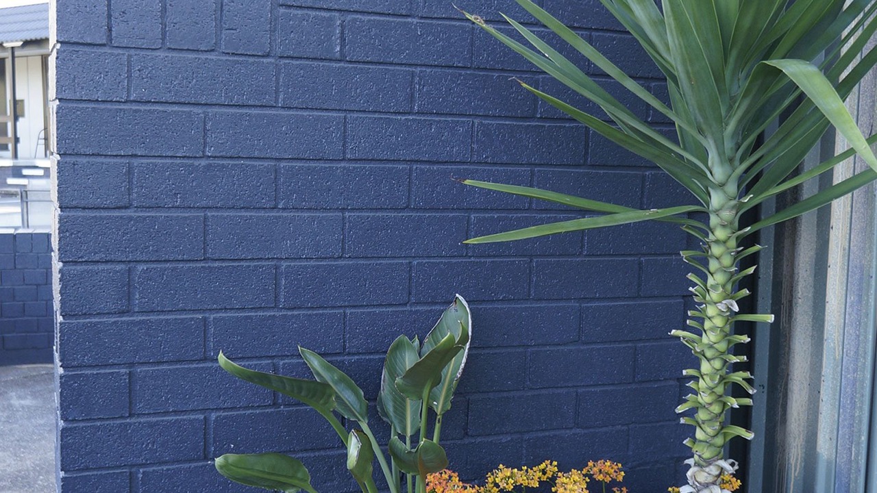 Photo of Others in Taree