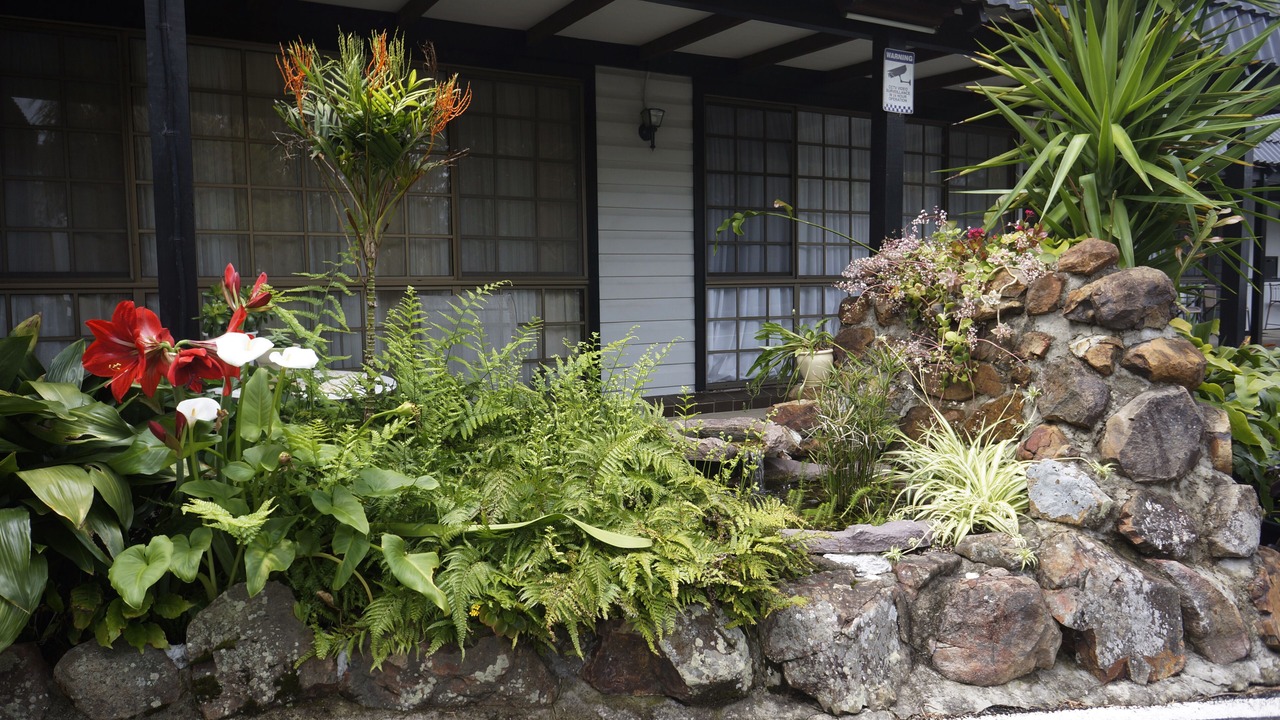 Photo of Outdoor in Taree