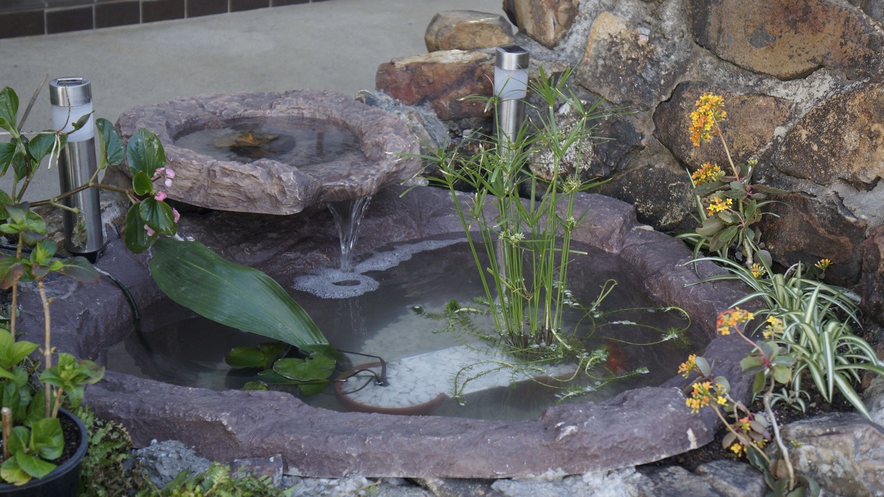 Photo of Others in Taree