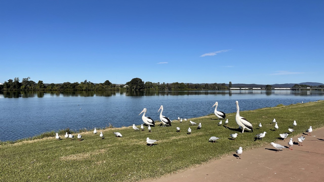 Photo of Others in Taree