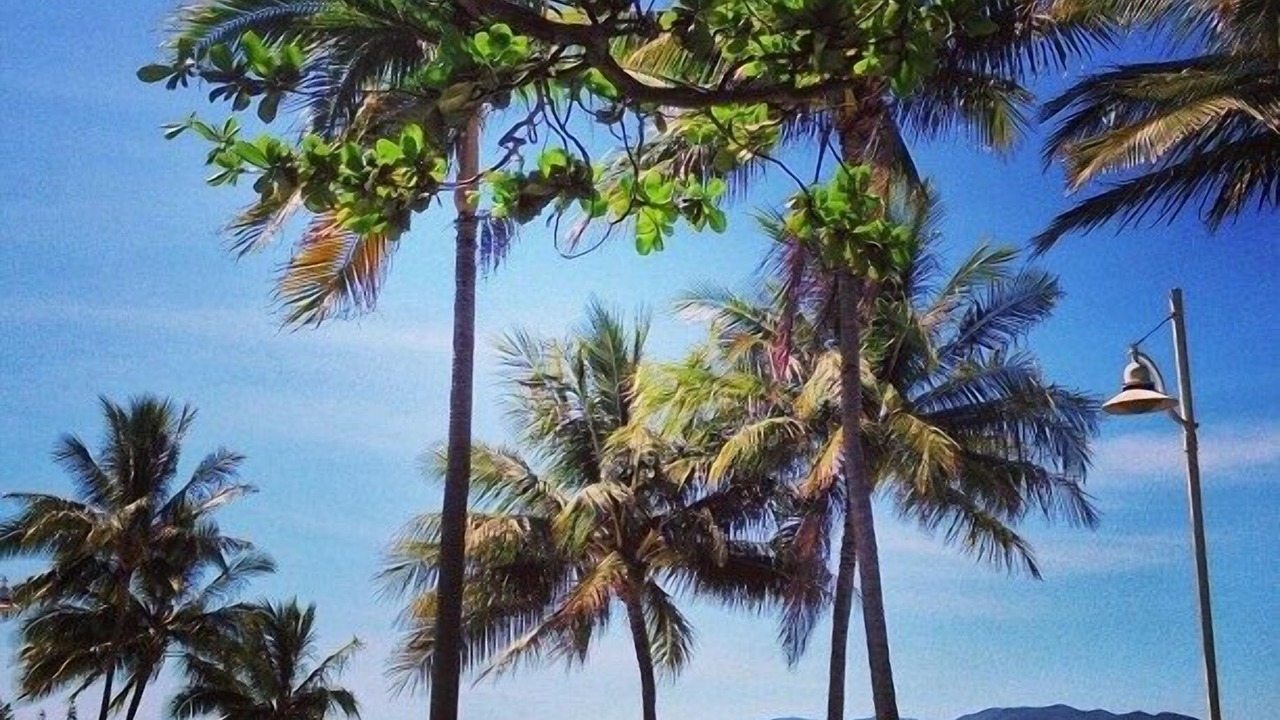 Photo of Others in North Ward