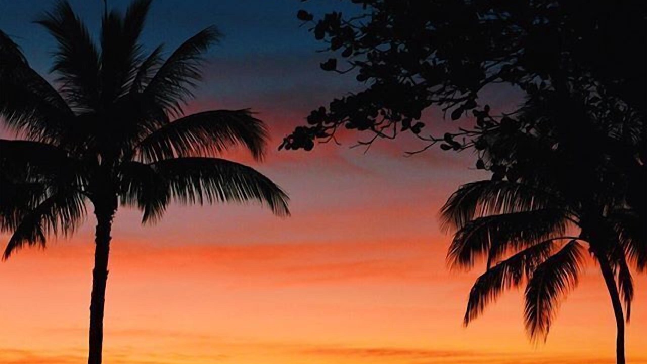 Photo of Others in North Ward