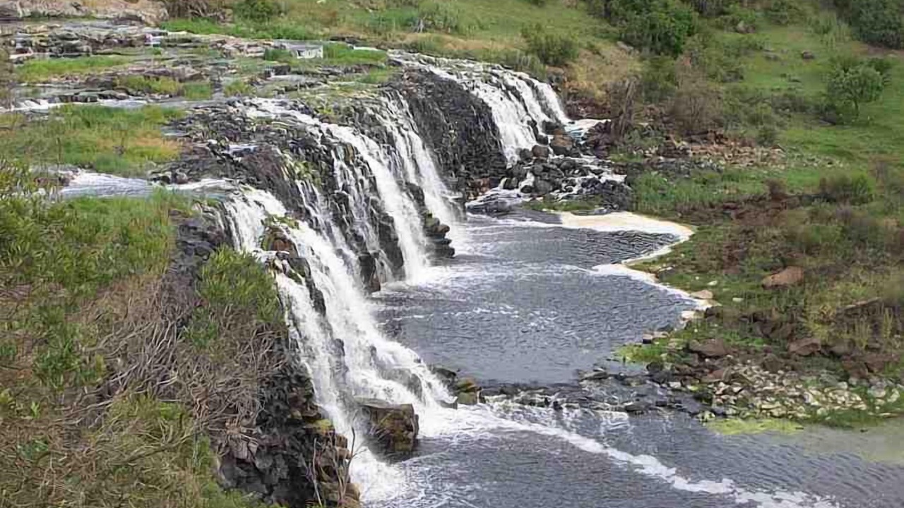 Photo of Others in Allansford