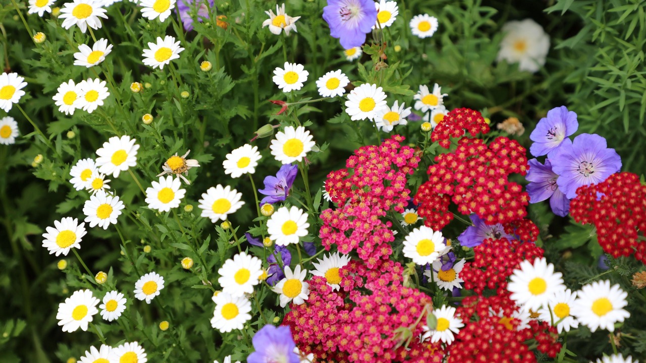 Photo of Others in Pukekohe