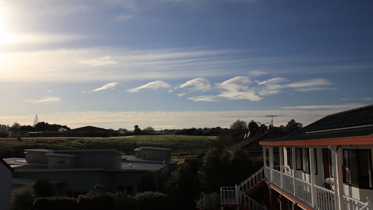 Photo of Others in Pukekohe