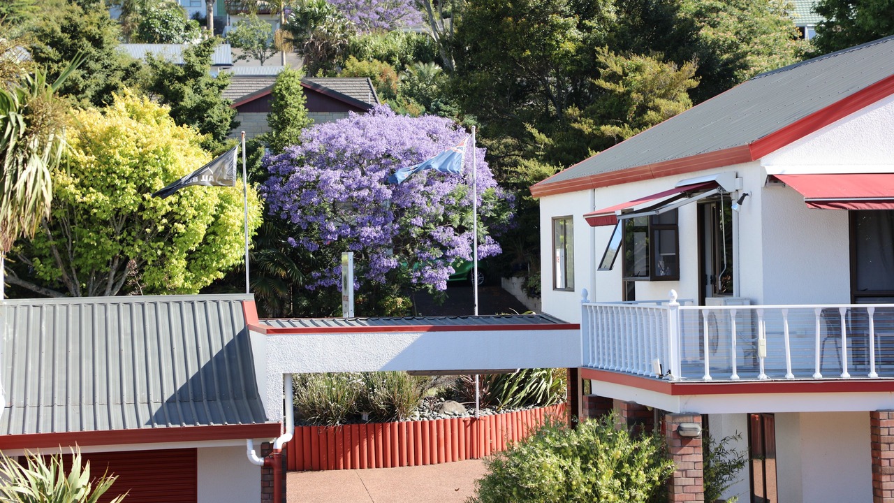 Photo of Outdoor in Pukekohe