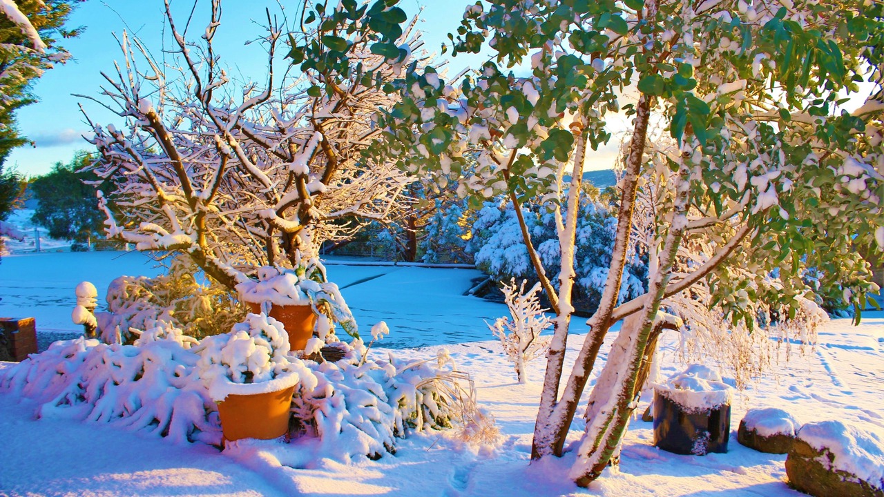 Photo of Others in Jindabyne